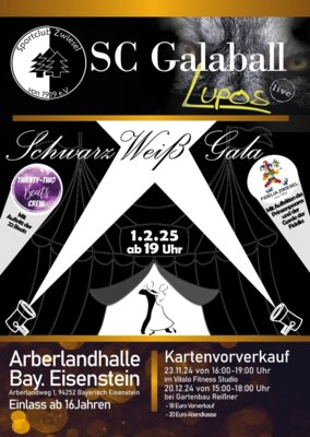 SC Galaball