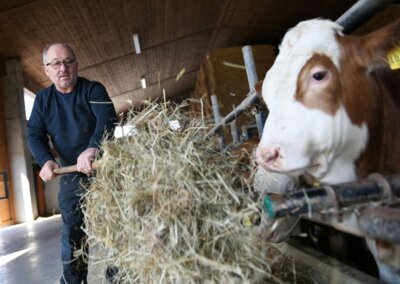 In der Sozialen Landwirtschaft können Menschen aller Altersstufen in die tägliche Arbeit am Hof eingebunden werden. (Foto: Angelika Warmuth, StMELFT)