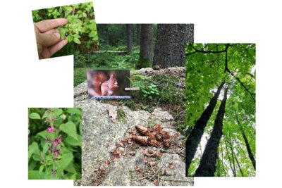 Foto zur Veranstaltung (Bild vergrößern)