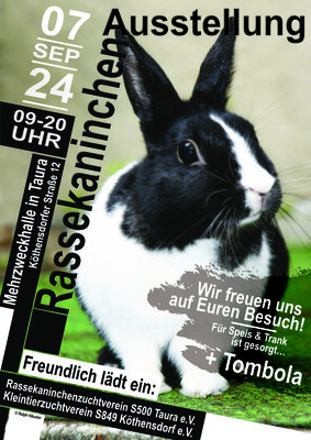Foto zur Veranstaltung (Bild vergrößern)