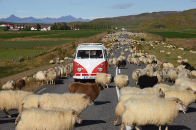Fludir; Foto: Peter Gebhard