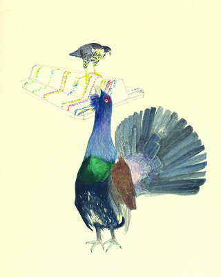 ©Caroline Winkler (Bild vergrößern)
