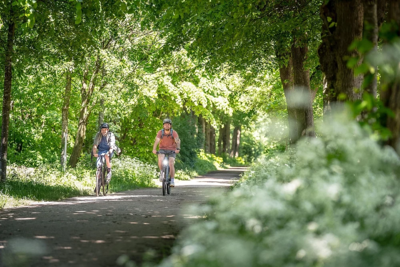 Radfahrer im Wald (Foto: www.adfc-radtourismus.de)