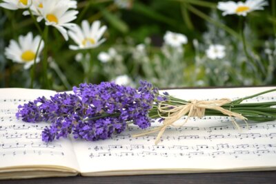 Image by Frauke Riether from Pixabay