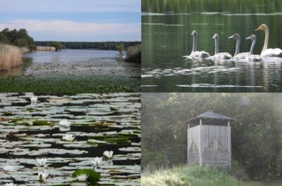 Veranstaltung: Teichgebietstour - Fahrradtour mit dem Ornithologen Jörg Kasper Sa 24. 05. 2025