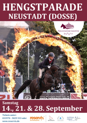 Flyer Hengstparade mit Terminen und Reservierung