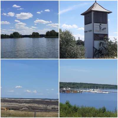 Veranstaltung: Zwischen Teichgebieten, Naturschutz, Tourismus und Tagebau - Fahrradtour mit dem Ornithologen Jörg Kasper Sa 23. 08. 2025