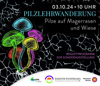 Pilzlehrwanderung Pilze auf Magerrasen und Wiese (Bild vergrößern)
