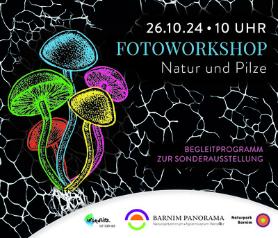 Fotoworkshop