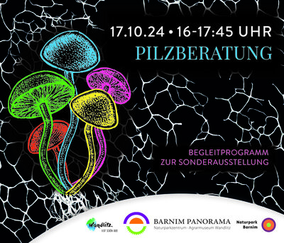 Pilzberatung