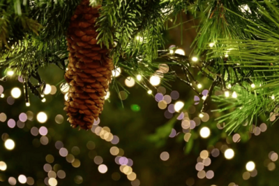 Veranstaltung: 39. Bad Boller Weihnachtsmarkt Sa 29. 11. 2025