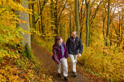 copyright Dominik Ketz/GesundLand Vulkaneifel
