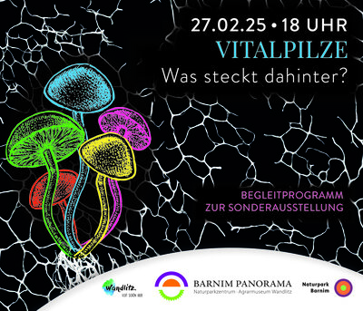 Foto zur Veranstaltung