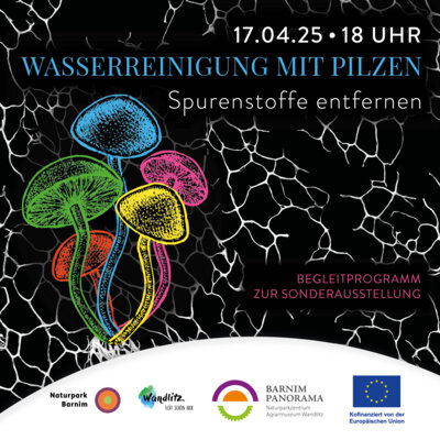 Foto zur Veranstaltung (Bild vergrößern)
