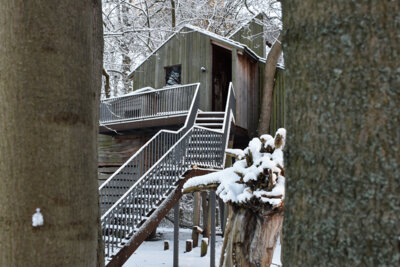 Baumhaus