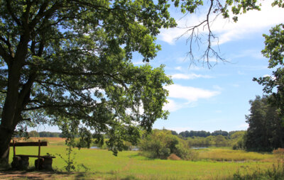 Naturpark Barnim, Biesenthaler Becken ©Andrea Brodersen