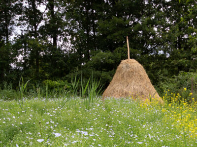 Wiese und Heuschober, Freilandmuseum Lehde  Foto- Museum OSL (Bild vergrößern)