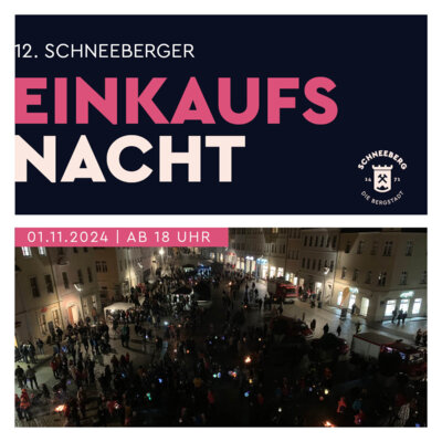 12. Schneeberger Einkaufsnacht (Bild vergrößern)