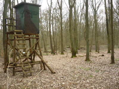 Burgwall im Jagen 57 (Bild vergrößern)