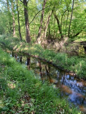 Am Grassee (Bild vergrößern)