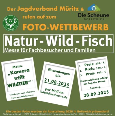Foto zur Veranstaltung (Bild vergrößern)