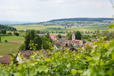 Foto zur Veranstaltung