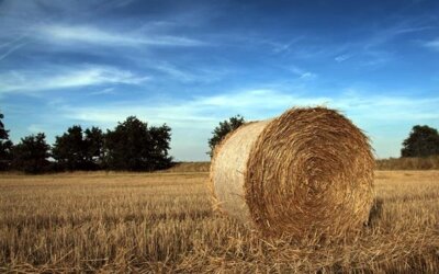 Foto: Stroh-Rundballe