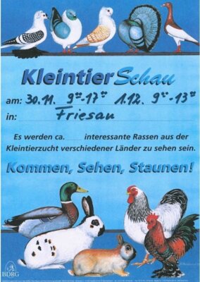 Foto zur Veranstaltung