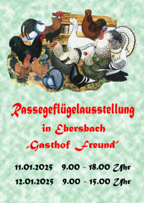 Foto zur Veranstaltung (Bild vergrößern)