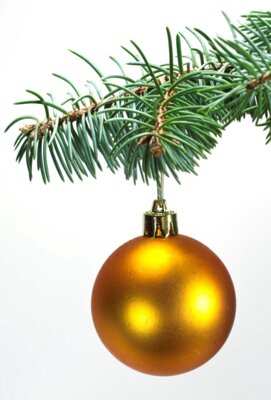 Veranstaltung: Weihnachtsevent in Merzdorf Sa 29. 11. 2025