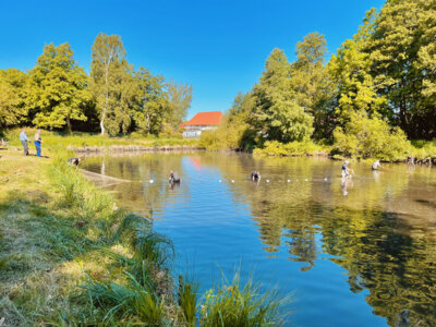 Foto: Kathrin Pflughaupt-Stenzel