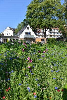 Foto zur Veranstaltung (Bild vergrößern)