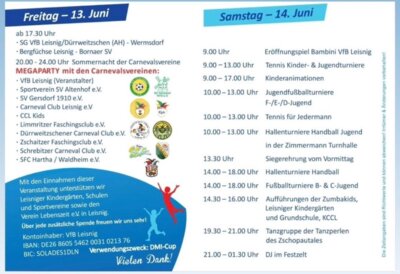 Programmablauf DMI Cup 2025 (Bild vergrößern)