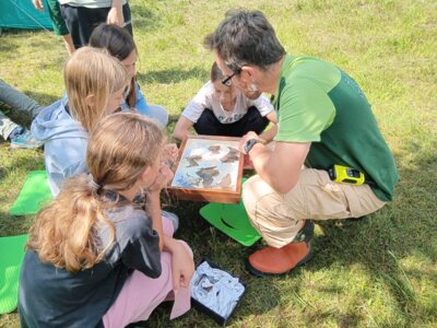 Veranstaltung: Artenforschercamp Fledermaus 04.  -  06. Aug 2025
