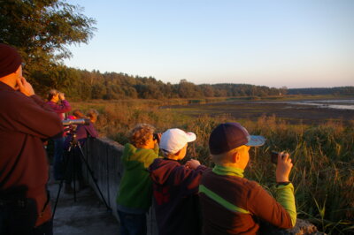 Veranstaltung: Junior-Ranger-Camp 21.  -  26. Jul 2025