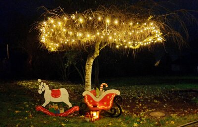 Adventsfensteraktion©SonjaMüller