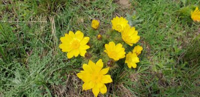 Foto zur Veranstaltung