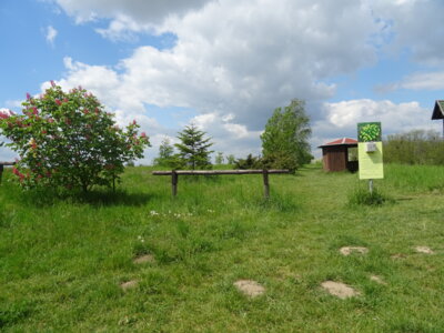 Veranstaltung: Baumpflanzung in Mallnow So 27. 04. 2025
