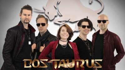 Die Rock/pop Coverband 
