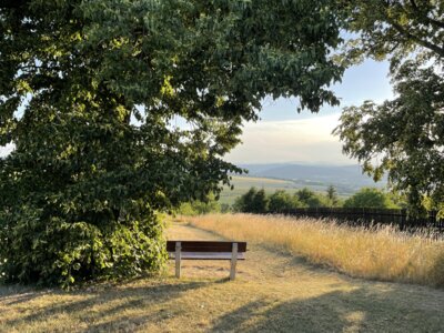 Foto: Meinusch