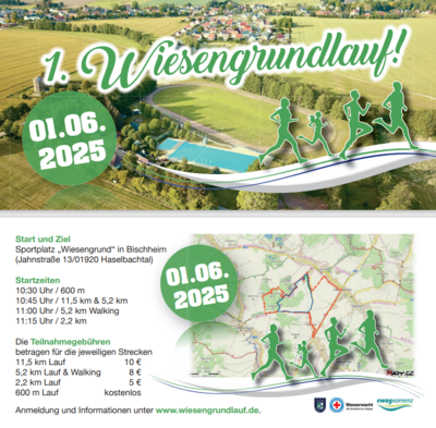 Flyer Wiesengrundlauf