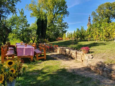 Foto: Besucherinformation Neuzelle (Bild vergrößern)