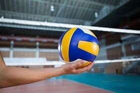 Veranstaltung: Sommerfest mit Volleyball-Turnier 14.  -  15. Jun 2025