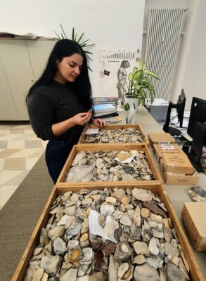 Amira Adaileh beim Sichten von Fundmaterial (Bild vergrößern)