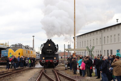Dampftage am Historsichen Lokschuppen - Foto: Stadt Wittenberge