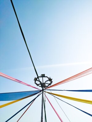 Foto: Maibaum