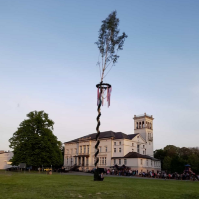 Maibaum 2024