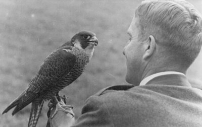 Foto zur Veranstaltung