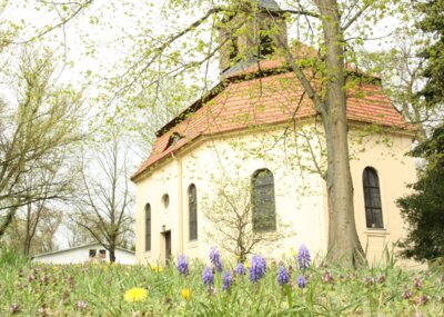 Barocke Schlosskapelle Großwudicke (Bild vergrößern)