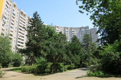 Gartenhof des Gropiushauses, Fritz-Erler-Allee / Lipschitzallee © Benjamin Goodwin, LDA